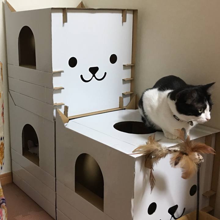 43f744d6 56d0 41df a4b4 0c3f471ca80b