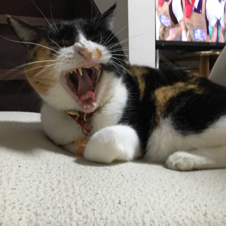 43f7a7fc b0ce 4477 9b49 fdb59a635378