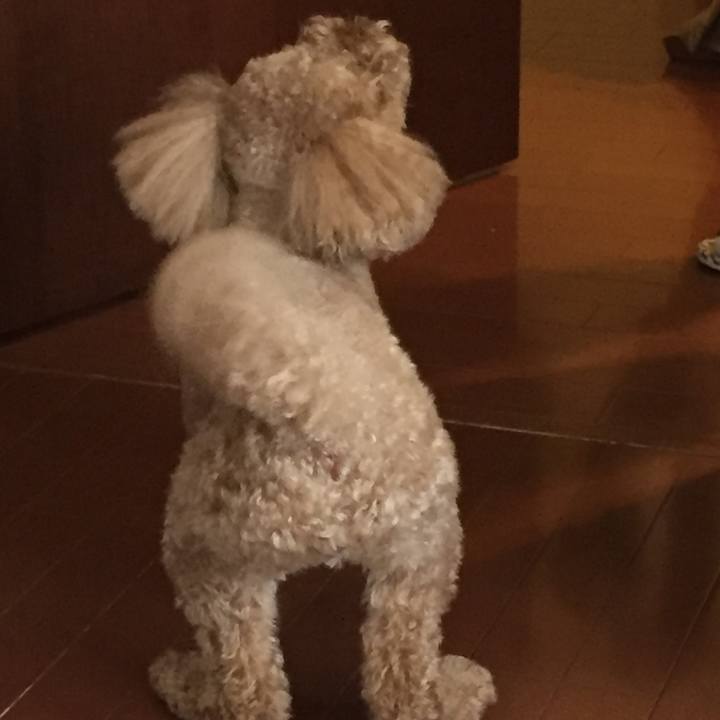 43f7ca2f b102 4ace 8e34 2e7e1f563d90