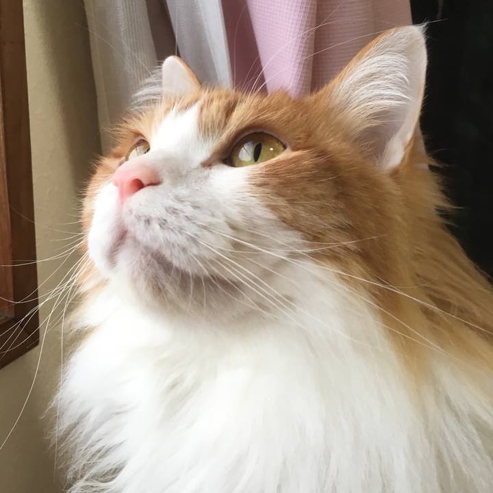 43f8380f 3a9d 48b0 ae2a e826b0841572