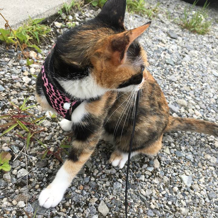 43f8cbac b8a4 47a2 9412 d83820c18f0d