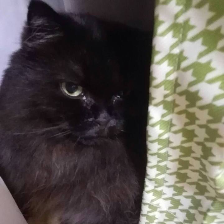 43f94635 d5bb 4513 8d5a 563bb1755f86