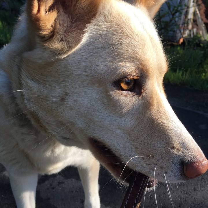 43fa750b 22ef 40a2 8f27 9e846a8e9033