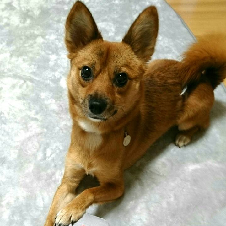 43fb1c0b 6470 4822 a4c4 007d5e76031e