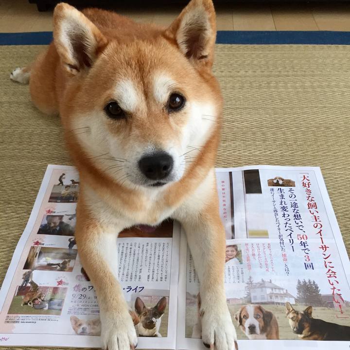 43fb9e7d b1c8 4ad9 98bc 7c6ea064e04b