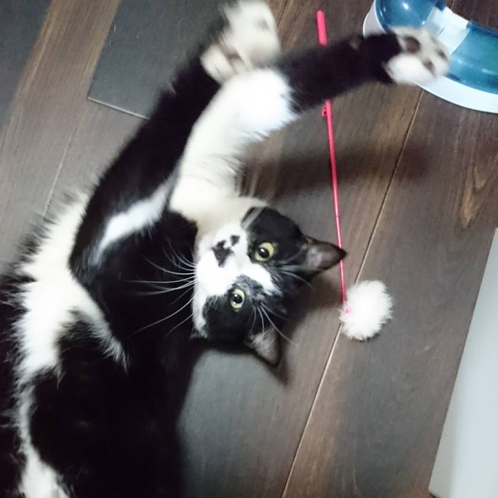 43fc3650 2cc5 499b ae55 d421601fe604