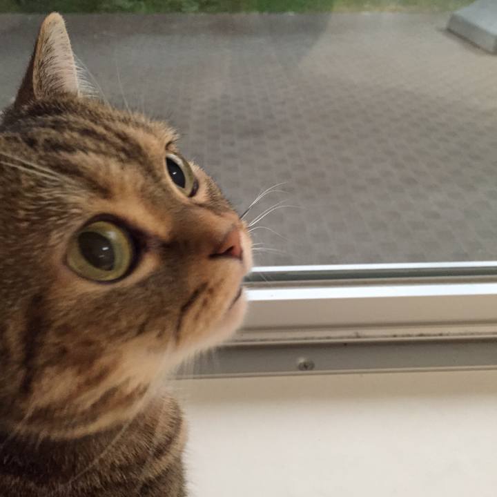 43fd5c5b a5bf 4d39 870d 406db66439da