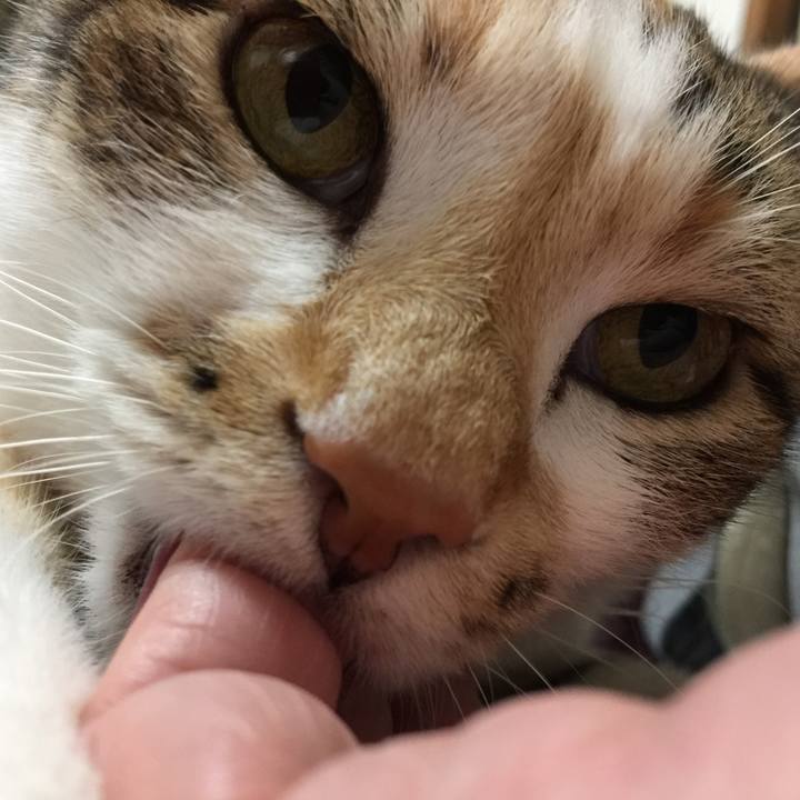 43fdf014 10db 44a3 b3ac a8909e5f0018