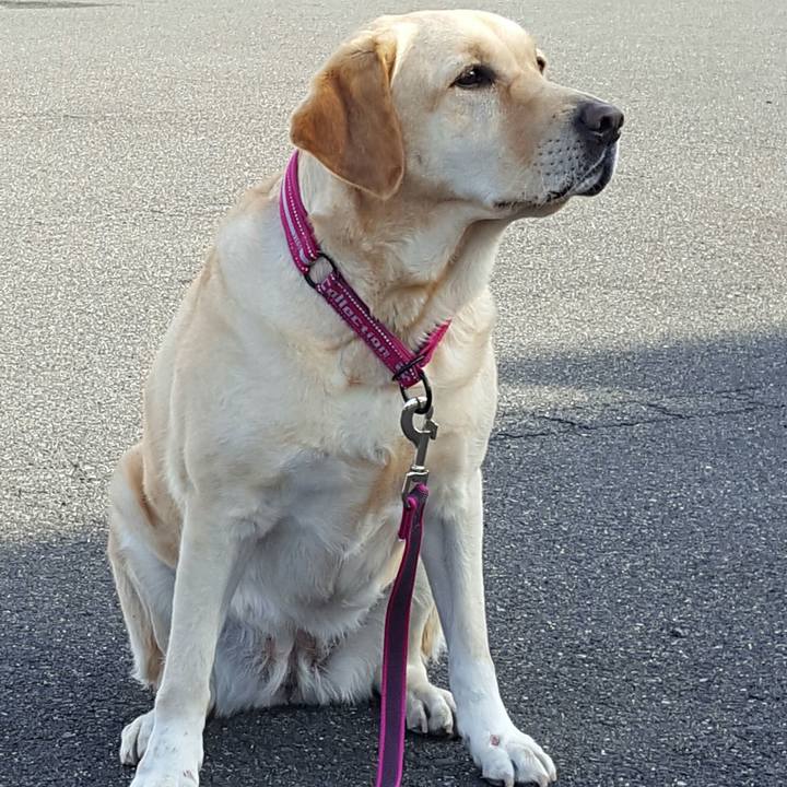 43fdf4c2 f09b 4b8f 8f4c 360941288203