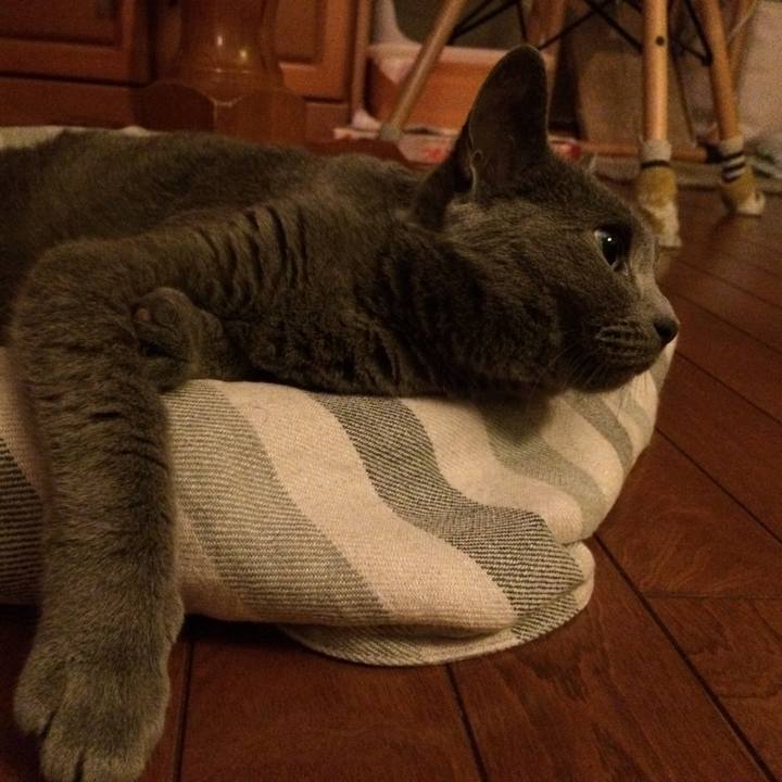 43fe1691 e995 4a0a bb2c 3ae4bb7be663