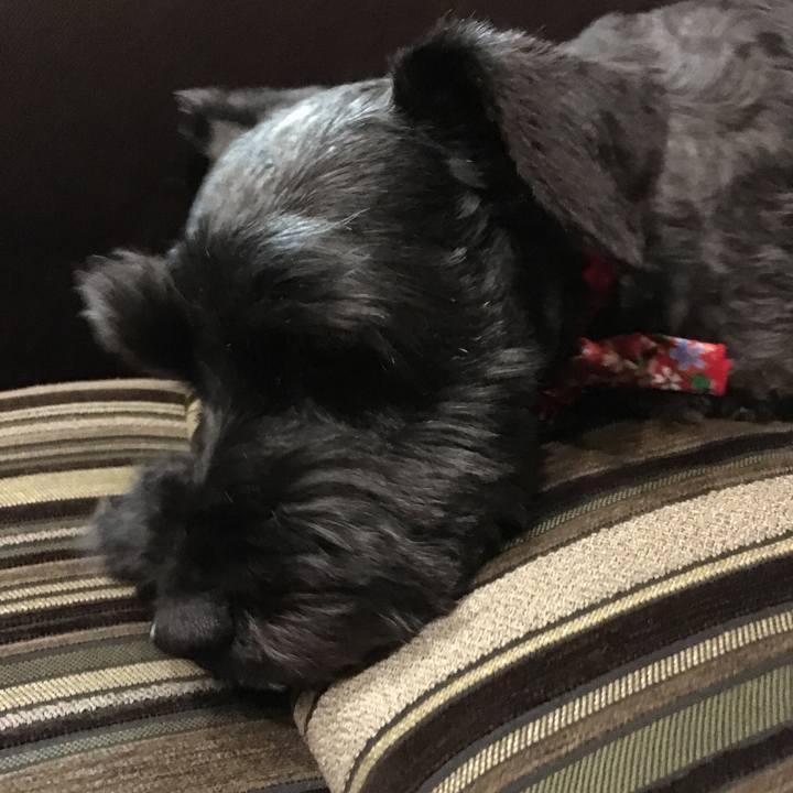 43fe6ddb 5eae 4706 b375 7173944df08e