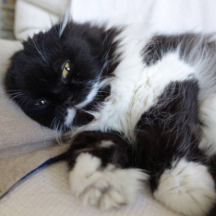 43fef143 b107 444b 8e1f c6655297e97c