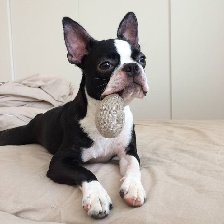 4400fb62 04c6 4937 a902 33f061d11e02