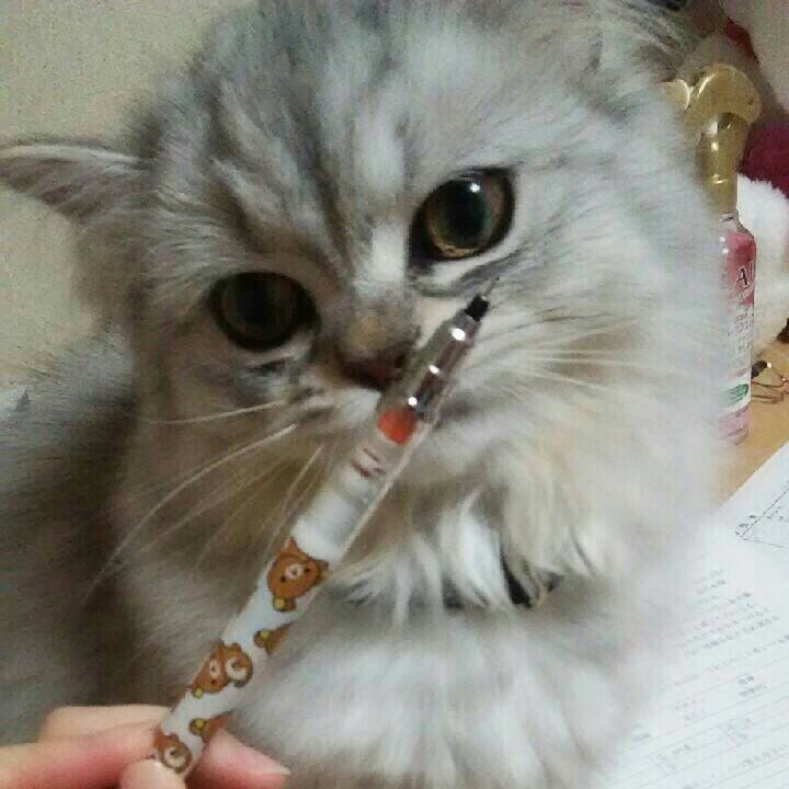 44024598 dca8 4f41 8da2 33ff23be28ba