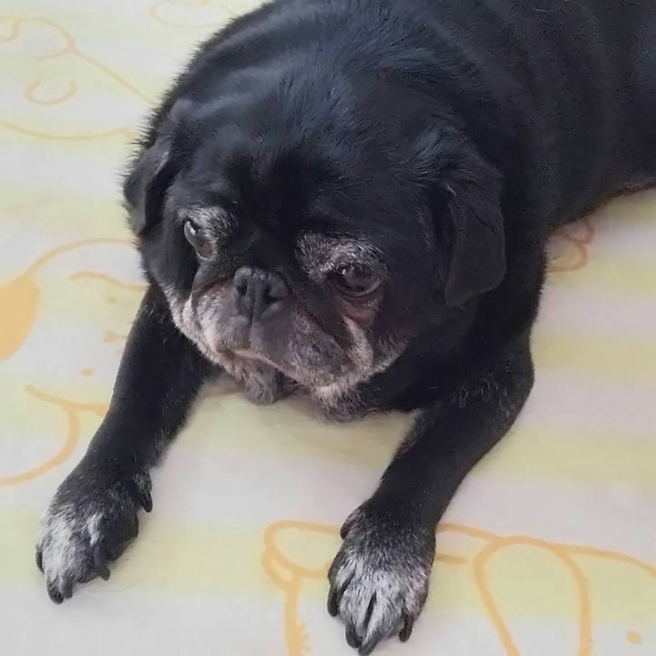 44028455 3bde 4e50 9d29 d749d3e92c1a