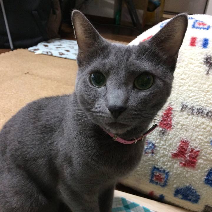 4402f771 c1e9 4607 8714 f0d3f7ae3efd