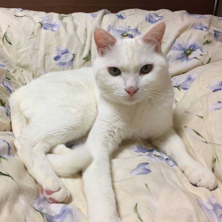 44031e4a f60c 4b1d baff 9fc16b1b847a