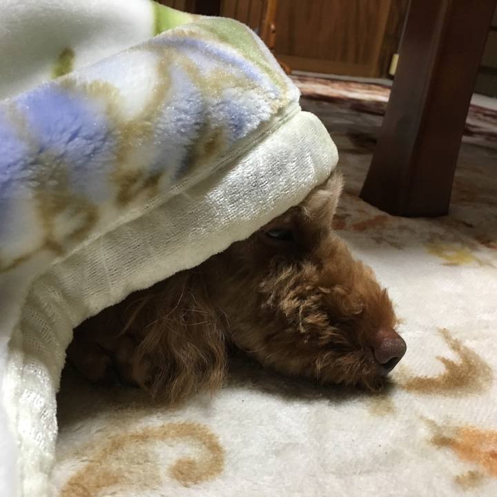 440336a0 3389 4402 a4c7 9d84e9460fb1