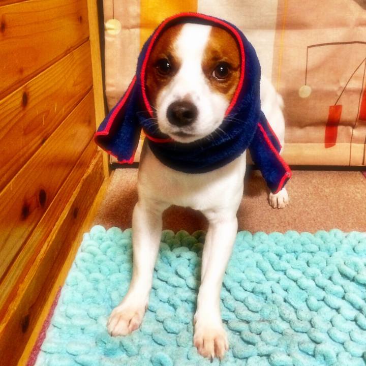 4403d2b9 232a 424d b509 5d03264d8794