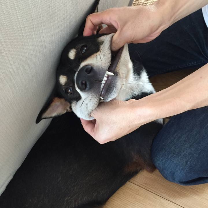 4404901b 3876 493d b1c2 3c565b974bde