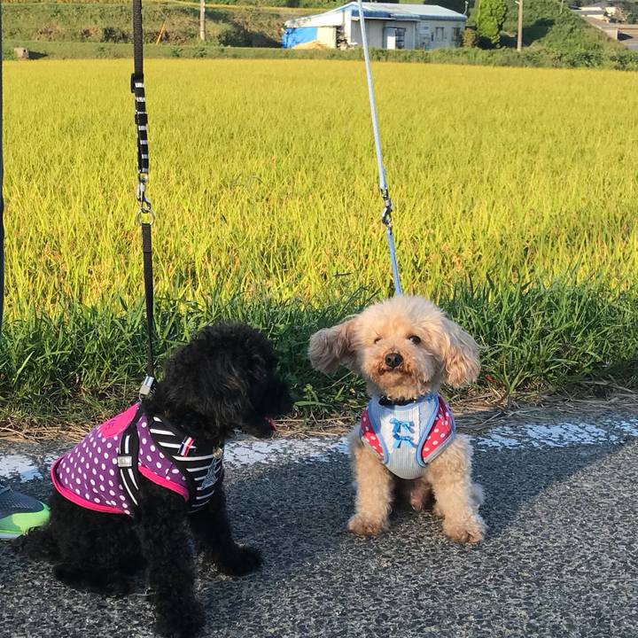 4404c409 c6cc 4bd0 b36d 126fb7c75007