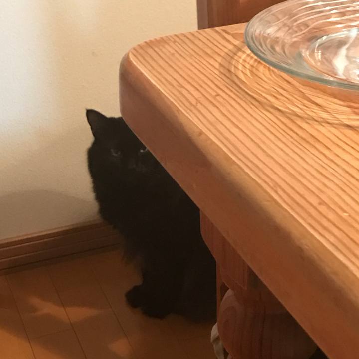 4404de59 d44c 4d4d 8a57 a3b347cd5b37