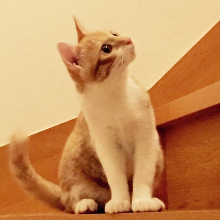 44060a02 be72 4d3d 8d44 c246a64762d9