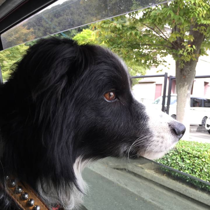 44062276 3259 42e4 bb08 91d00cb74f22