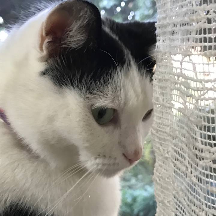 44063a07 5924 42dd 99a3 38bef4912795