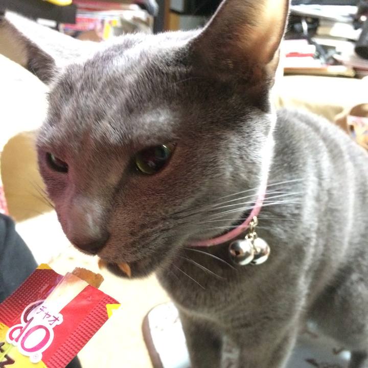 4407a327 bac8 476c 8d4b 53ced4f0d05e