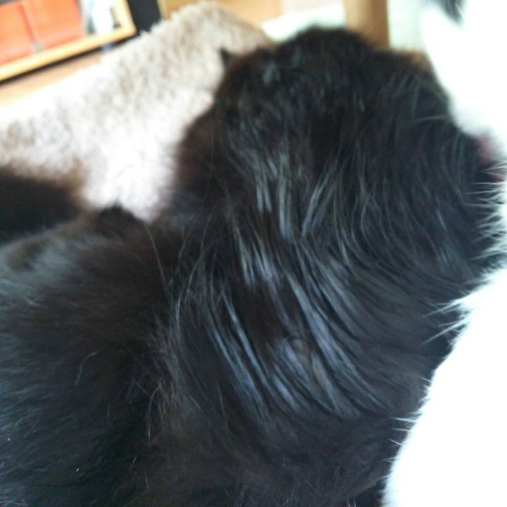 440918f8 ba36 4a95 8127 44b6ec899d88