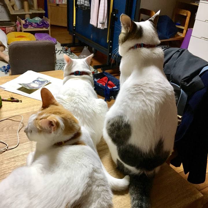 44091abe b60f 4be2 96ab 5195e4ad78a3