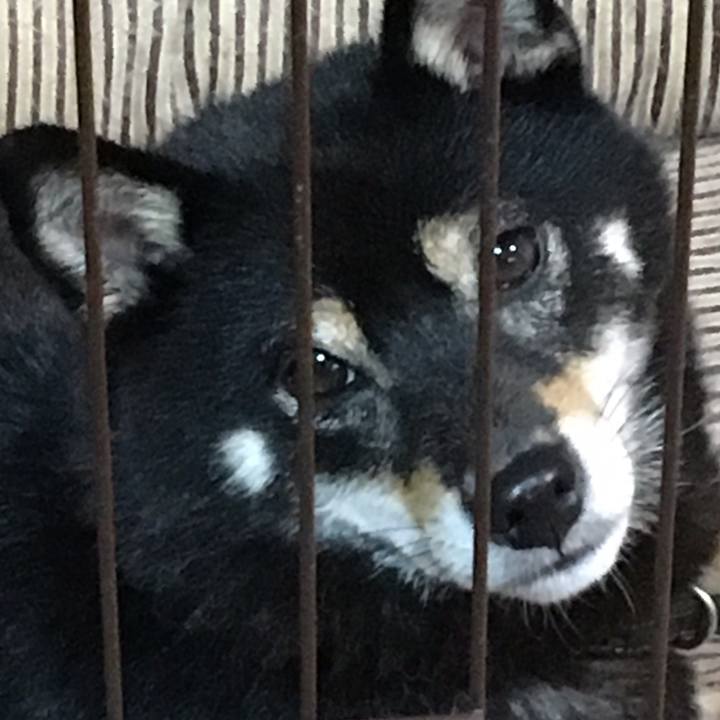 440983be ef35 4c3c 88a6 756619c0f3e3