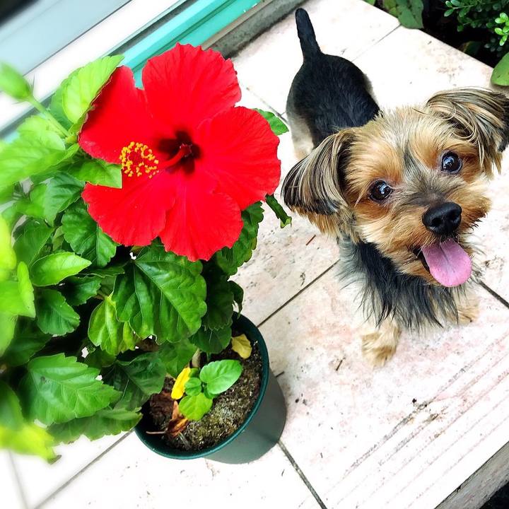 440b0175 385d 4fea b70c aa5ae83fc542