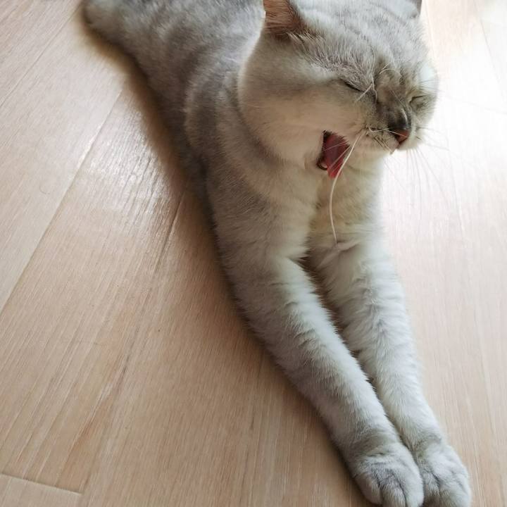 440b3d67 1717 4b5d a7b0 b93f50dc12ab