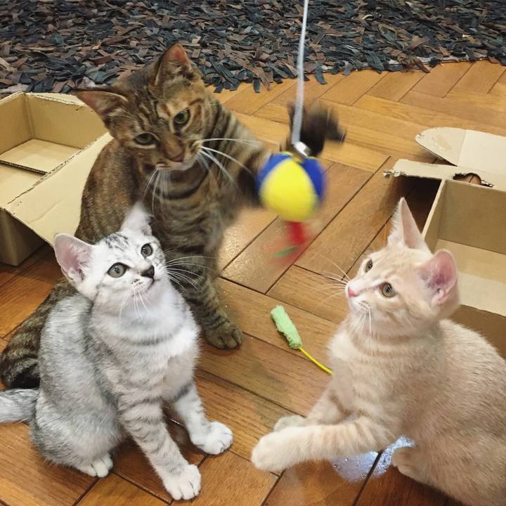 440c6c4e bfea 45af b966 41dddf958bf4