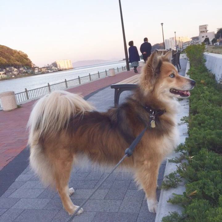 440cb664 cd30 40ab b5de 9c3641a06dd8