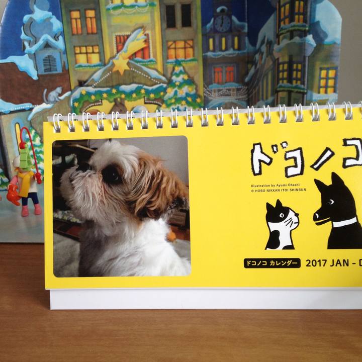 440cb7a8 627f 49f7 94fb bbd41e17540b