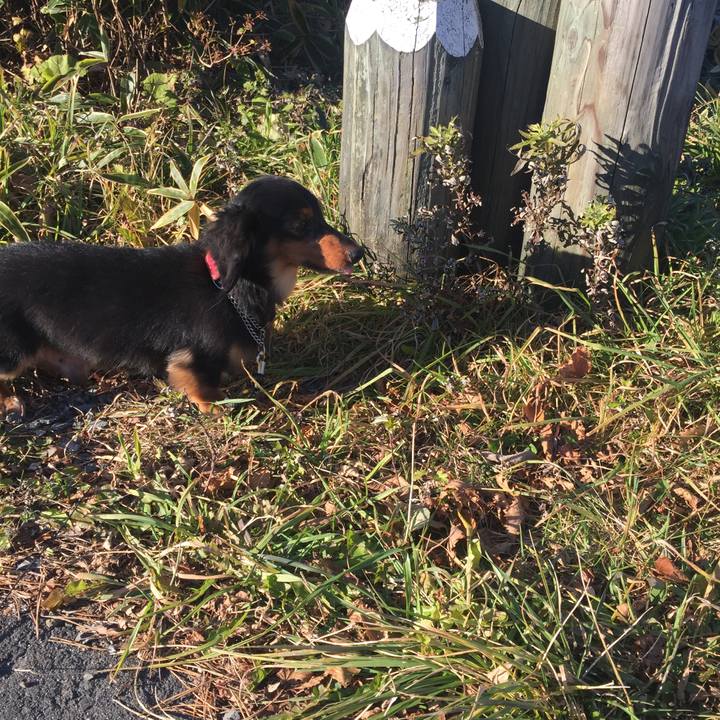 440cd556 595b 445a 8c31 065cd66426fc