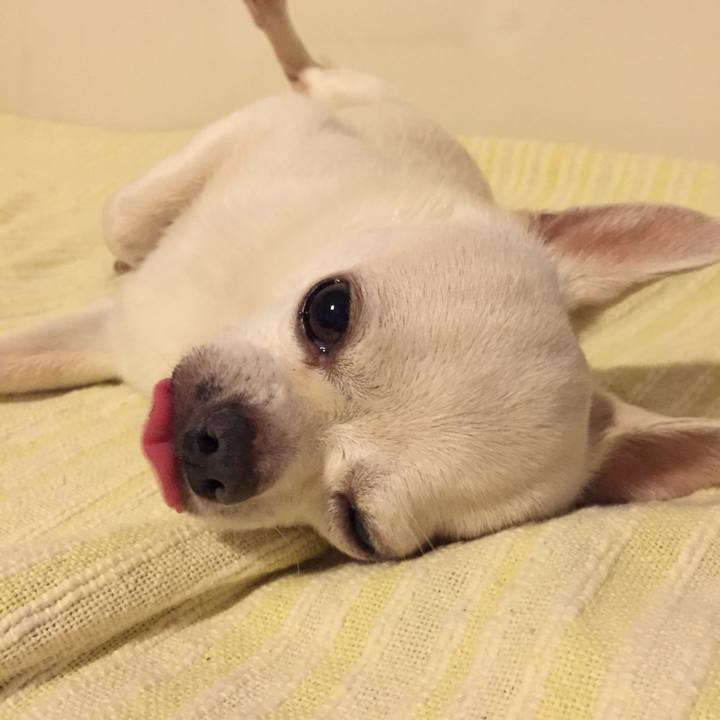 440dacc1 eef0 47d0 85d0 499e35e0adb8