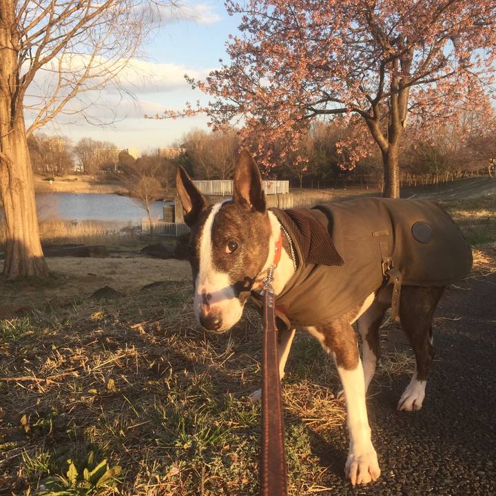 440dde92 68bb 4458 96de 9c50b238492f