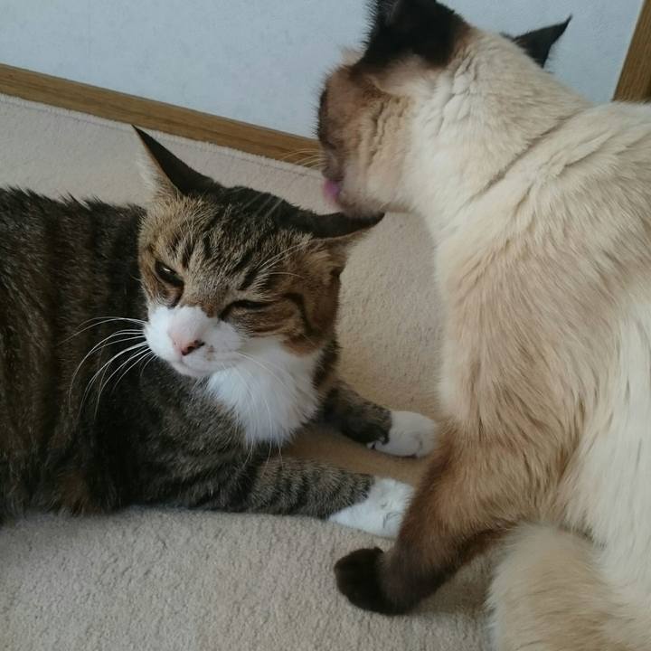 440e1124 1b47 4dba b7eb 0f906fdcad56