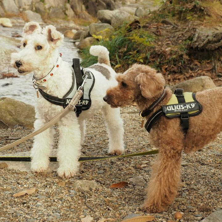 440e3148 6015 4c79 bdca 97cd75dc4d27