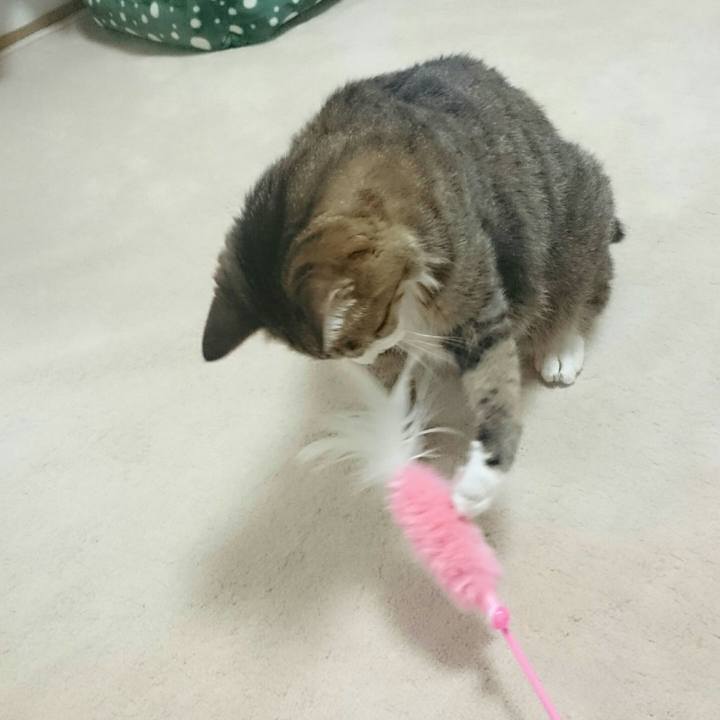 440e9d4b a475 4f33 8e22 c28e527ca0fe