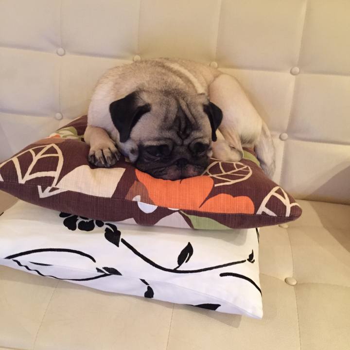 440efe17 9a82 4b16 8d75 f66b583b5c27