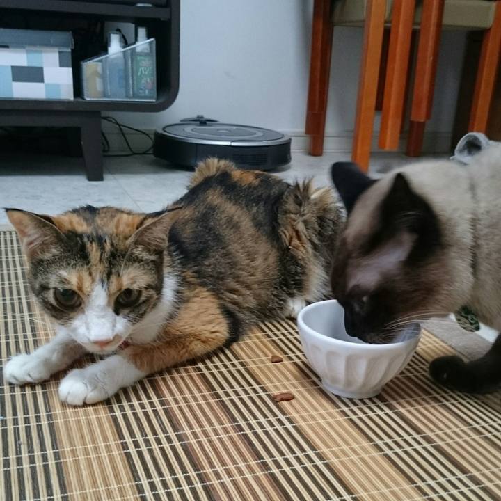 440f4122 b03d 402a b3fd 95eaf42b9b9e