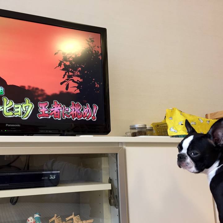 440f452f 9713 4f37 b270 55c44d03204f