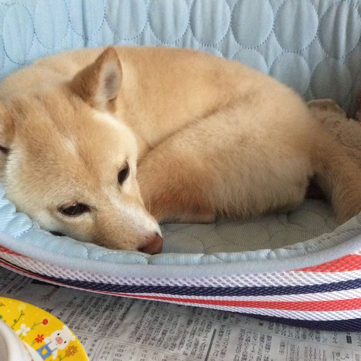 440f77f3 a21e 49e8 9f08 c9ab55023d50