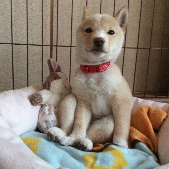 440f9829 6e21 4053 b4b0 18fe18301b71