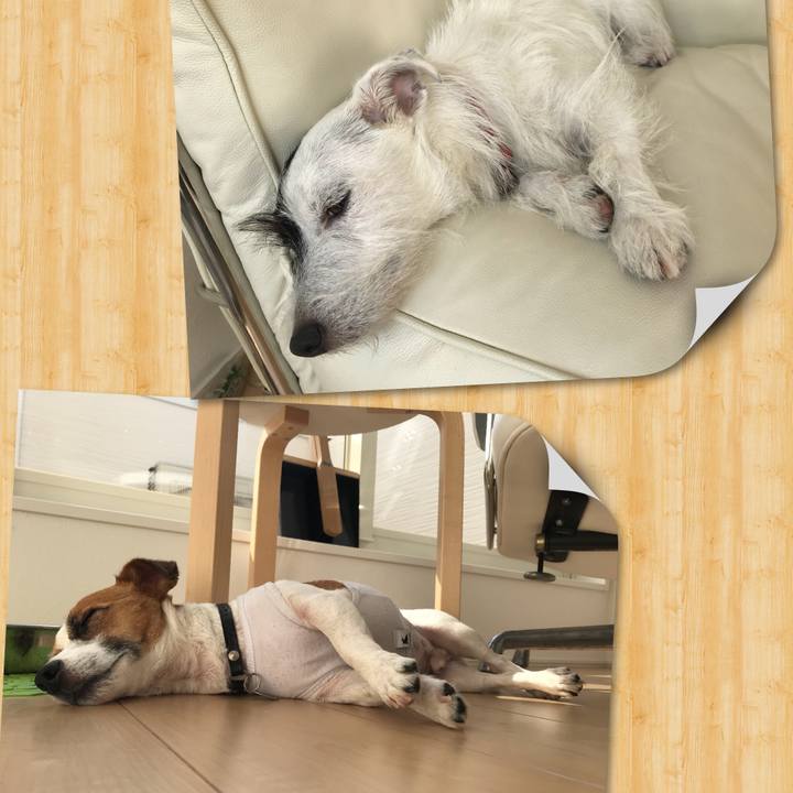 440fa1ca 8a82 472f 83dc 0ea67e2d7a97